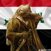 ali.salam531