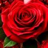 user735808195661