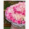 user3313684366747