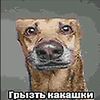 alex.bushuev04
