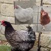 chickensandus
