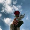 user2383249901996