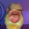 sam_sshit0