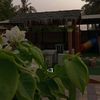 .asmaa_23