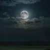 iridhath0c8