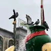 kr313_ar