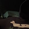 luis_22881