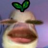 the_reysx