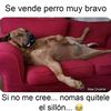 cotorreo32