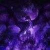 shadow_5978