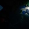 user8361492029822