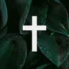 tikflox23