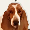 naney4naney