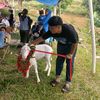 rangga_js78