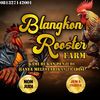 kandang brf