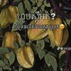 sophy7812