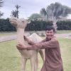 abdul.ghfor6980