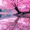 yyhoang7