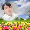 seednazir368