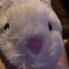 katbee234