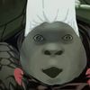 polnereffturtle