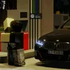 cebula_12