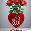sanakhan2255882