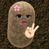 khaa_jibb