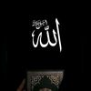 user4356512797366