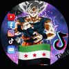 user4079177113661