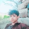 user85423817846252
