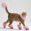 aadekittyy