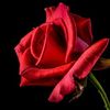 sanjeev.pal3