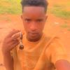 jallo744