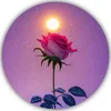 my_opt1