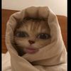 cwekrandom12