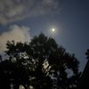 seekcontentment