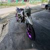 farhamwd32q