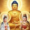 nguyenphuc1805