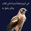 user40703825974445