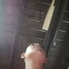 user6388194885655