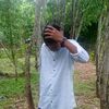 noyon39358