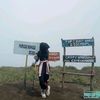 cill8002