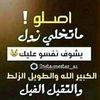 user4823519707904