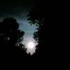 einsamewolf78
