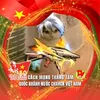 v.yu.ca.anh..t.hn