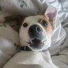 lea_nala