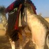abker.abdullah