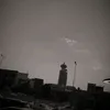 7ama13135
