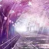 minh.hoang_29